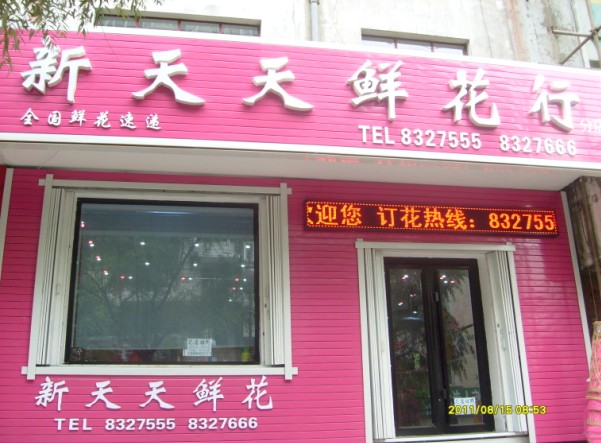 七臺(tái)河市新天天鮮花店的圖標(biāo)